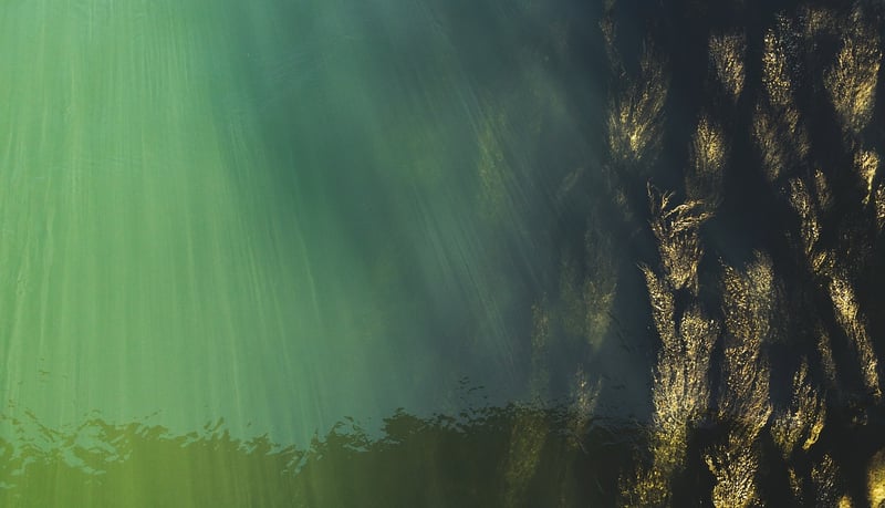 Underwater photography